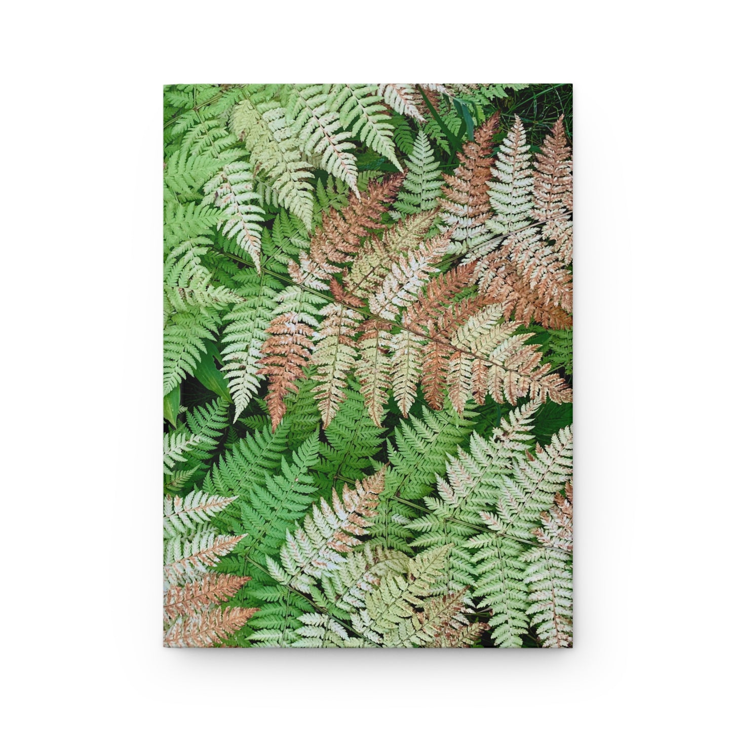 Alaskan Ferns in Autumn Hardcover Journal